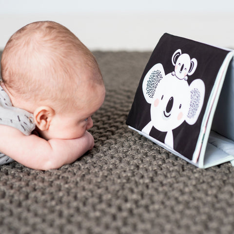 Taf Toys Kimmy Koala Tummy Time Book