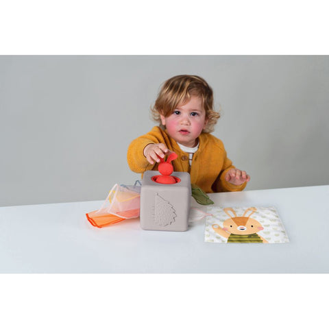 Taf Toys Pop-up Tissue Box