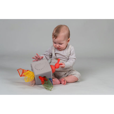Taf Toys Pop-up Tissue Box