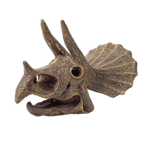 Buki France Museum Skull - Triceratops