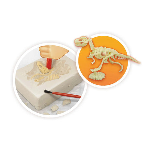 Buki France Volcanoes And Dinosaurs
