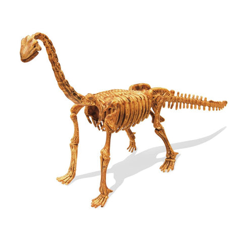 Buki France Dino Kit Brachiosaurus