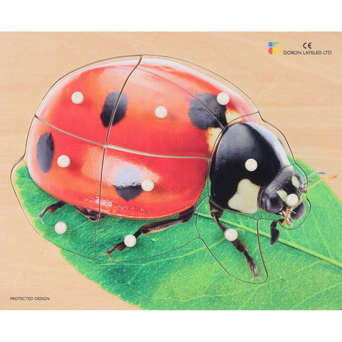 Doron Layeled Ladybird Puzzle