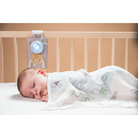 Taf Toys Bunny Soother and Swaddle Set