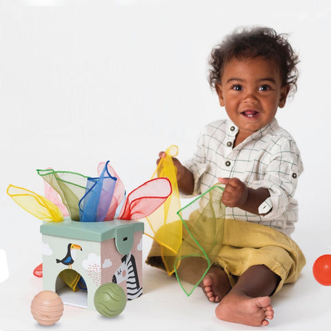 Taf Toys Magic Box