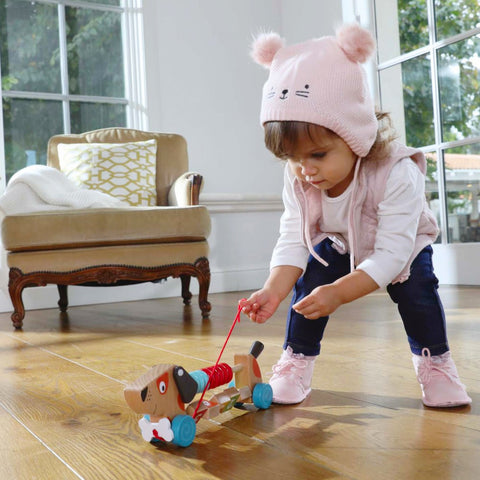 Edushape Counting Pull-Along-Puppy
