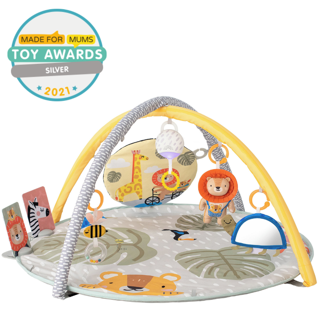 Taf toys play mat on sale