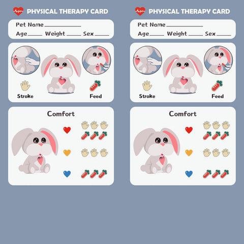 TOPBRIGHT Care Pets - Mummy Bunny