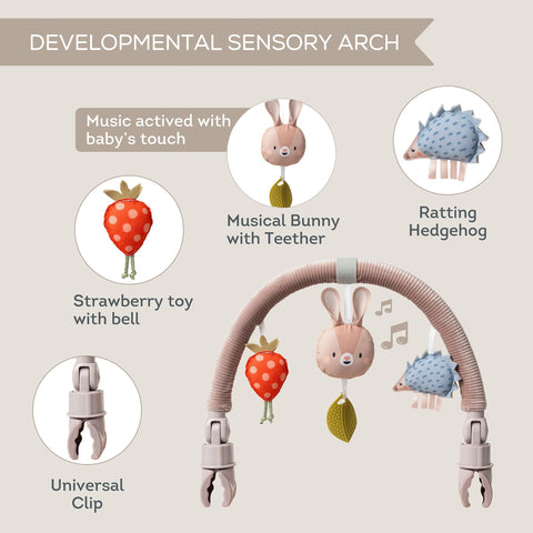 Taf Toys Musical Bunny Arch