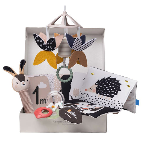 Taf Toys Black & White Newborn Kit