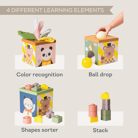 Taf Toys Play & Discover Cube