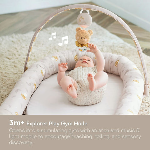 Taf Toys Little Explorer Lounger