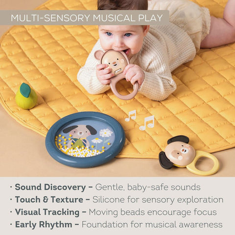 Taf Toys Baby's Musical Discovery Set