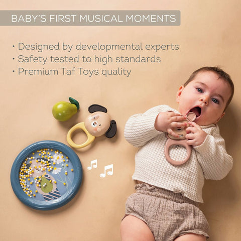Taf Toys Baby's Musical Discovery Set