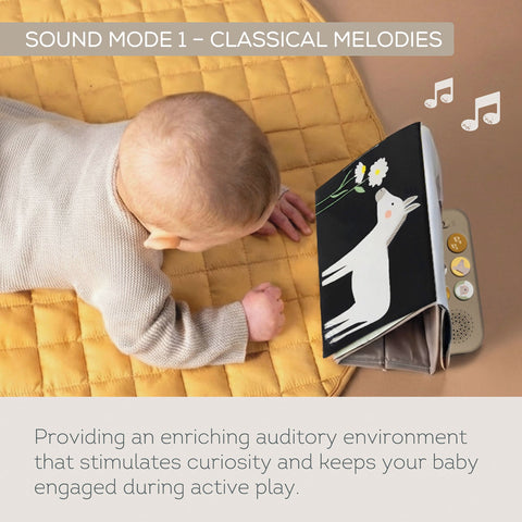 Taf Toys Farm Musical Tummy Time Book