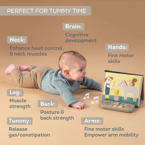 Taf Toys Farm Musical Tummy Time Book