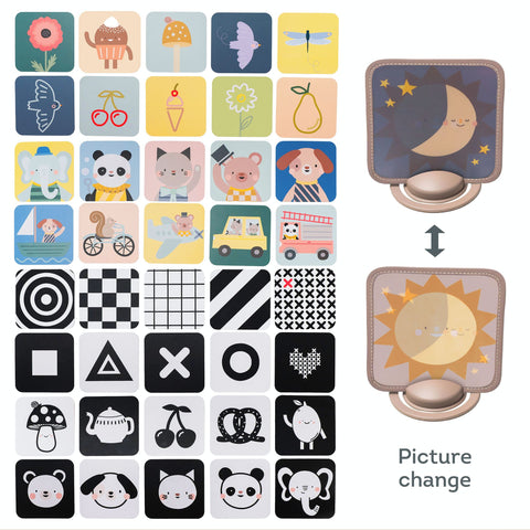 Taf Toys My 1st Discoveries Flash Cards
