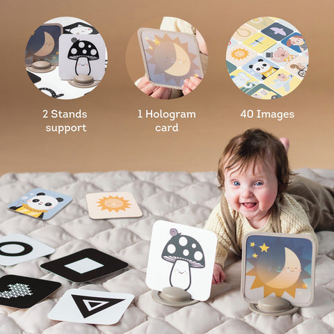 Taf Toys My 1st Discoveries Flash Cards