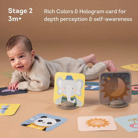 Taf Toys My 1st Discoveries Flash Cards