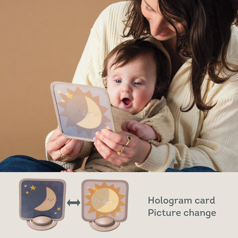 Taf Toys My 1st Discoveries Flash Cards