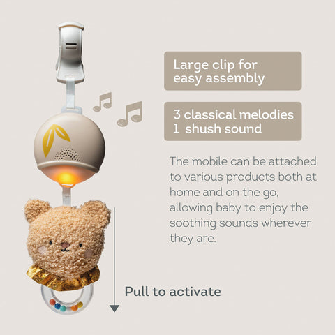 Taf Toys Bear Musical Toy