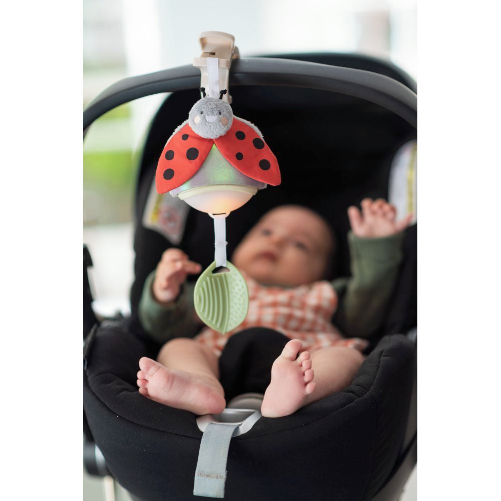 Ladybird buggy toy best sale