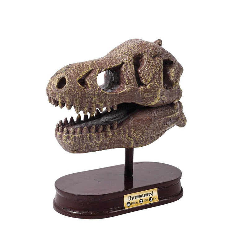Buki France Museum Skull - T-Rex