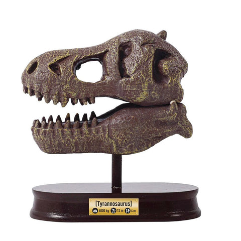 Buki France Museum Skull - T-Rex