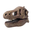 Buki France Museum Skull - T-Rex