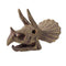 Buki France Museum Skull - Triceratops