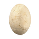 Buki France Mega Egg