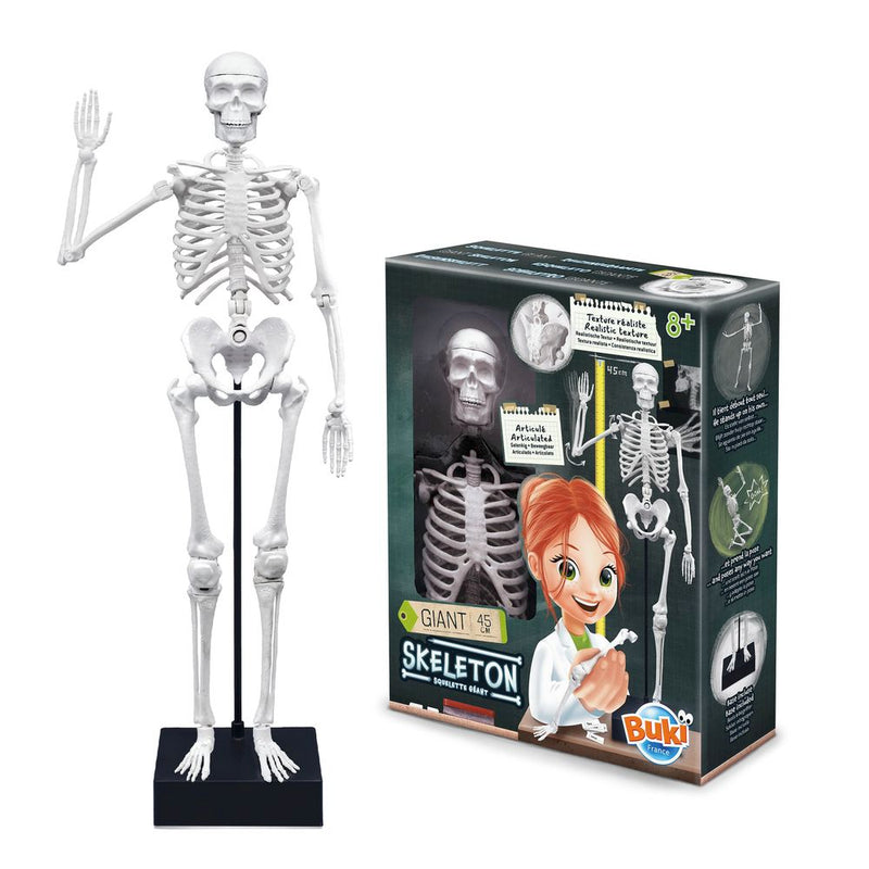 Buki France Skeleton 45 cm