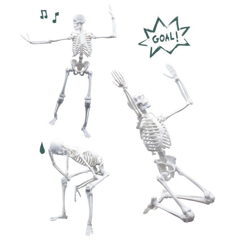 Buki France Skeleton 45 cm