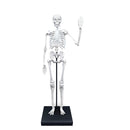 Buki France Skeleton 85cm