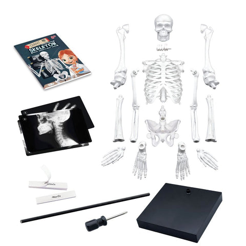 Buki France Skeleton 85cm