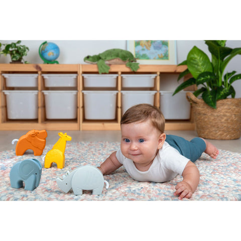 Halilit Savannah Rhythm Gift Set