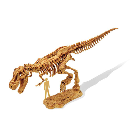 Buki France Dino Kit T-Rex