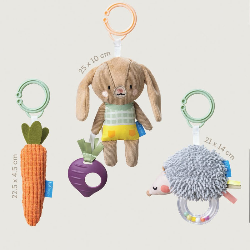 Taf Toys Activity Toys Kit