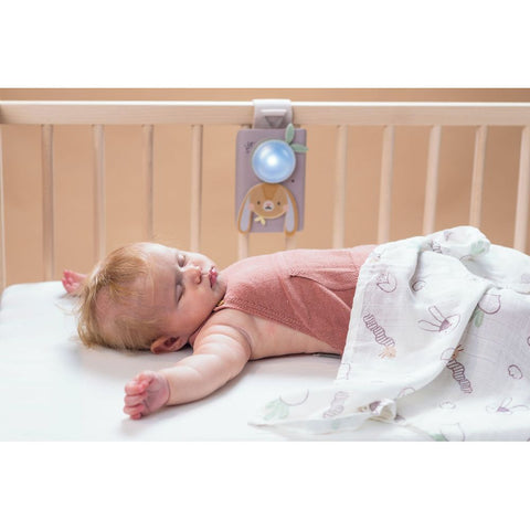 Taf Toys Bunny Soother and Swaddle Set