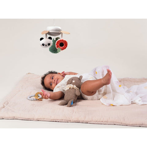 Taf Toys Luxury Newborn Gift set