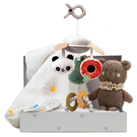 Taf Toys Luxury Newborn Gift set