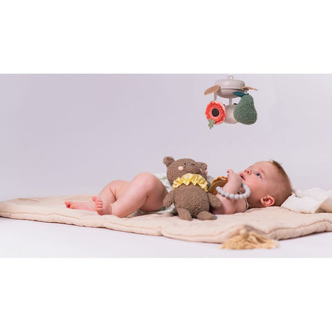 Taf Toys Luxury Newborn Gift set