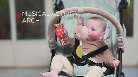 Taf Toys Musical Bunny Arch