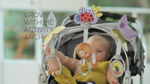 Taf Toys Grow with me Arch