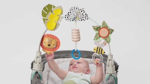 Taf Toys Savannah Adventures Arch