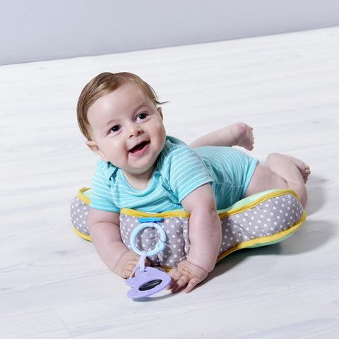 Taf Toys Developmental Pillow