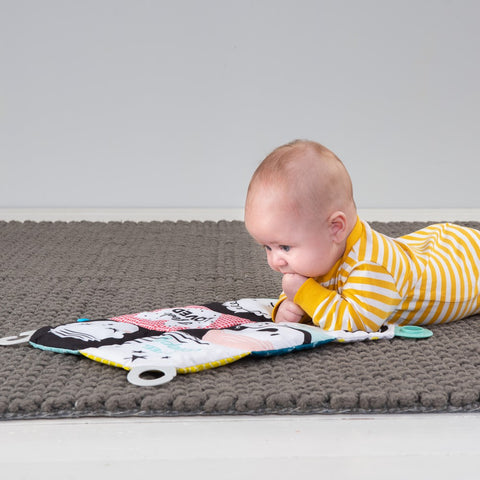 Taf Toys My Feelings Crinkle Toy