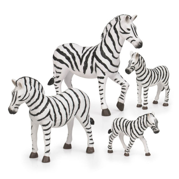 Terra Zebra Family