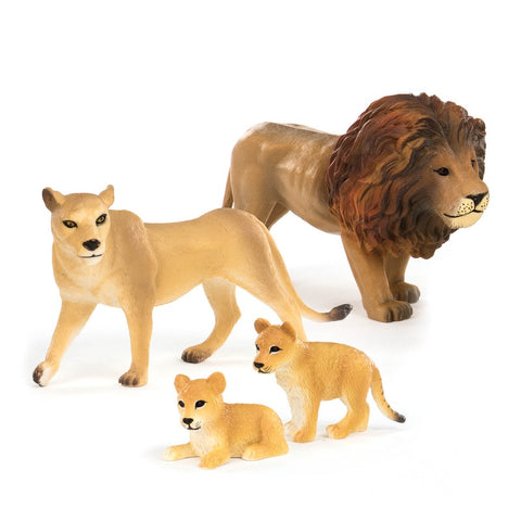 Terra Lion Family