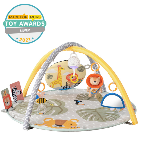 Lidl store baby gym